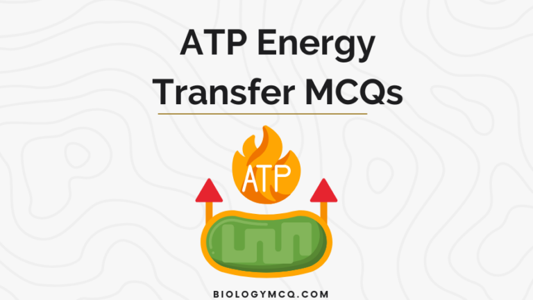 ATP Energy Transfer MCQs