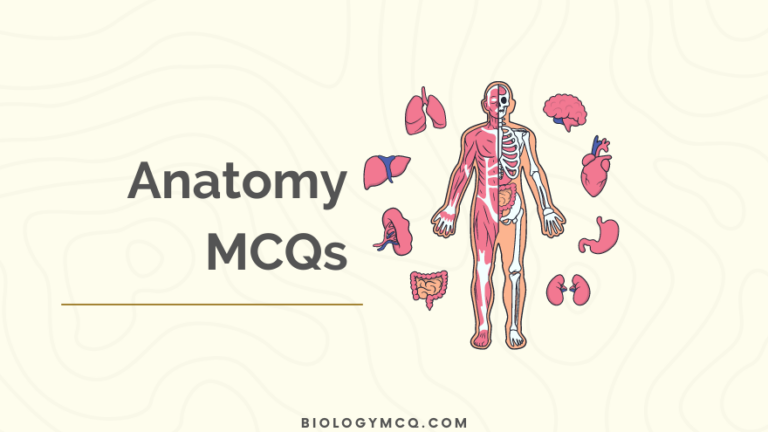 Anatomy MCQs