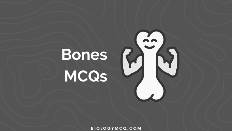 Bones MCQs