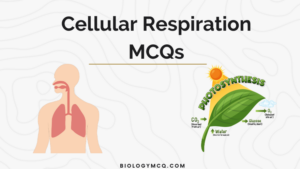 Cellular Respiration MCQs