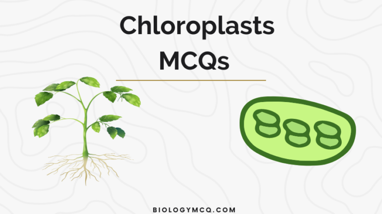 Chloroplasts MCQs