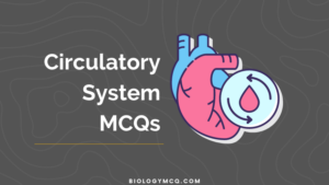 Circulatory System MCQs