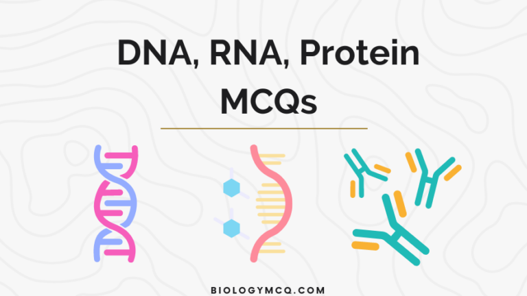 DNA, RNA, Protein MCQs