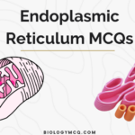Endoplasmic Reticulum MCQs