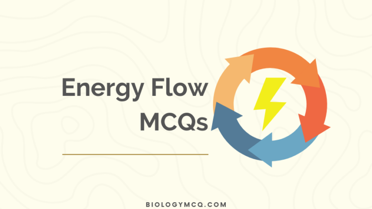 Energy Flow MCQs