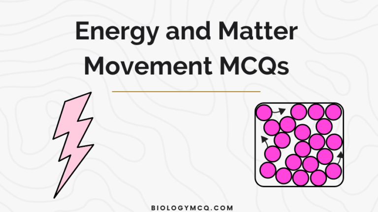 Energy and Matter Movement