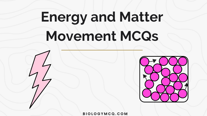 Energy and Matter Movement – biologymcq.com