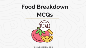 Food Breakdown MCQs