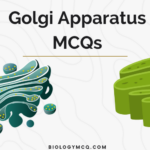 Golgi Apparatus MCQs