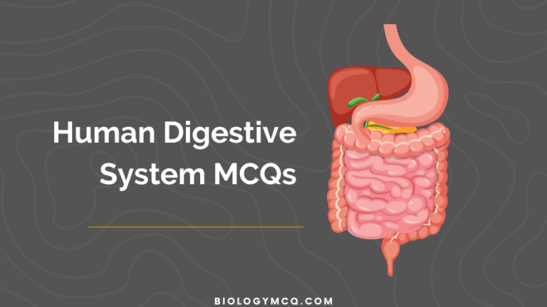 Human Digestive System MCQs