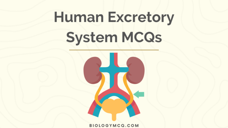 Human Excretory System MCQs