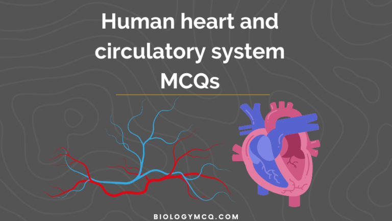 Human heart and circulatory system MCQs