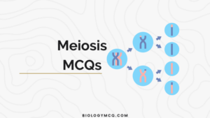 Meiosis MCQs