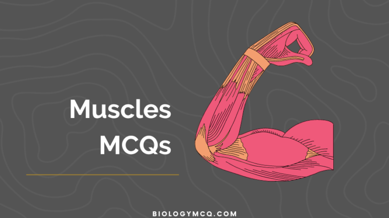 Muscles MCQs