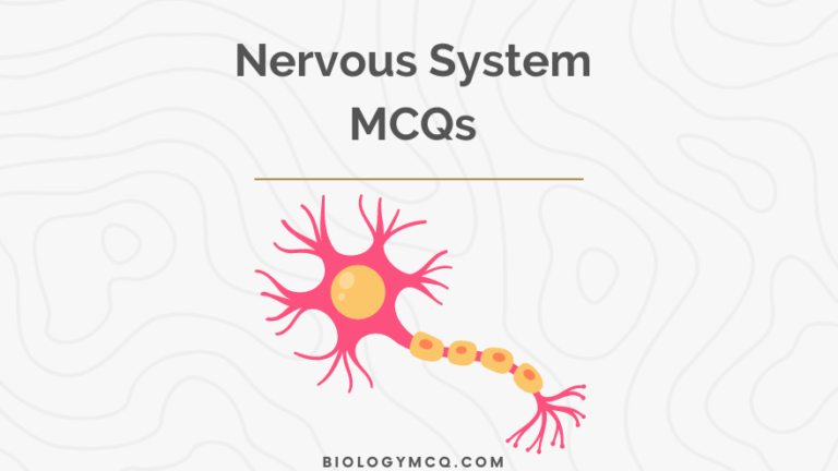 Nervous System MCQs