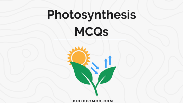 Photosynthesis MCQs