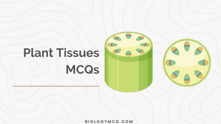 Plant Tissues MCQs