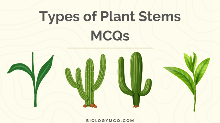 Types of Plant Stems MCQs