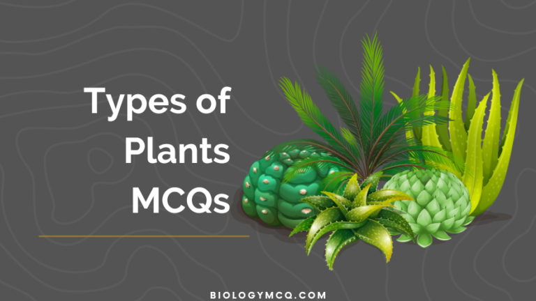 Types of Plants MCQs