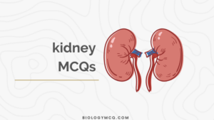 kidney MCQs