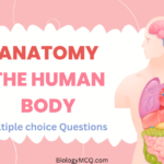 Master Anatomy: How Our Anatomy MCQs Can Sharpen Your Knowledge