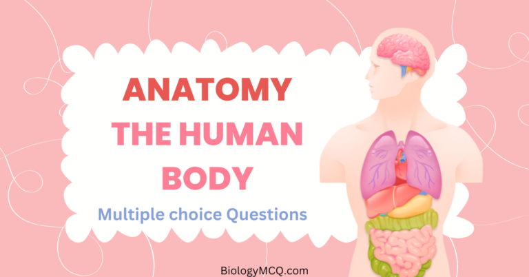 Master Anatomy: How Our Anatomy MCQs Can Sharpen Your Knowledge